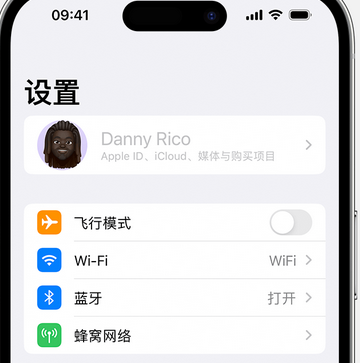 谢通门appleID维修服务iPhone设置中Apple ID显示为灰色无法使用 