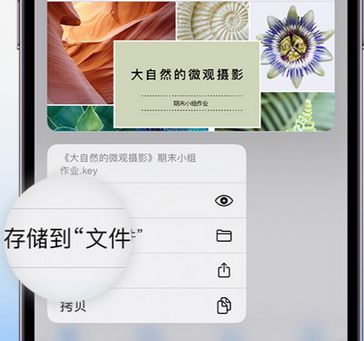 谢通门apple维修中心分享iPhone文件应用中存储和找到下载文件