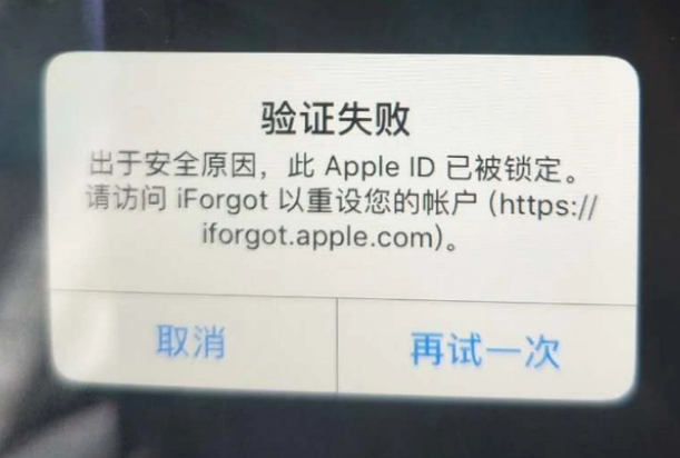 谢通门iPhone维修分享iPhone上正常登录或使用AppleID怎么办 