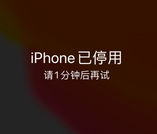 谢通门苹果手机维修分享:iPhone 显示“不可用”或“已停用”怎么办？还能保留数据吗？ 