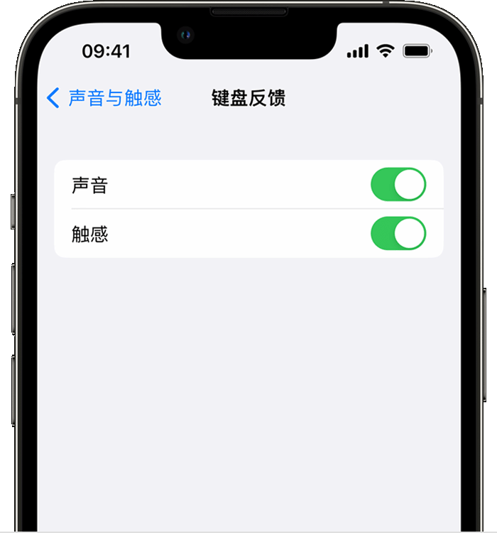 谢通门苹果14维修店分享如何在 iPhone 14 机型中使用触感键盘 