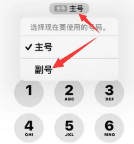 谢通门苹果14维修店分享iPhone 14 Pro Max使用副卡打电话的方法 