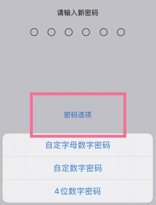 谢通门苹果14维修分享iPhone 14plus设置密码的方法 