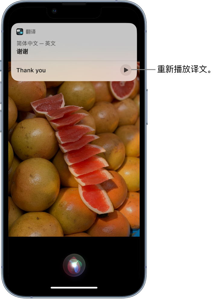 谢通门苹果14维修分享 iPhone 14 机型中使用 Siri：了解 Siri 能帮你做什么 