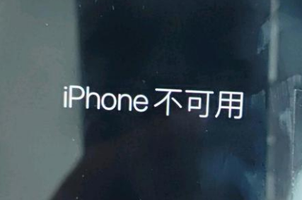 谢通门苹果服务网点分享锁屏界面显示“iPhone 不可用”如何解决 