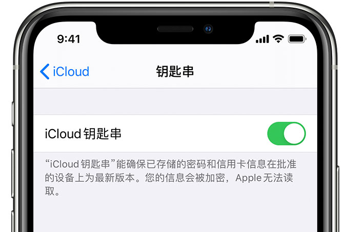 谢通门苹果手机维修分享在 iPhone 上开启 iCloud 钥匙串之后会储存哪些信息 