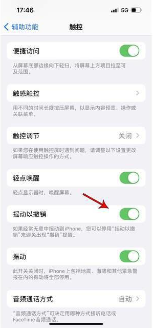 谢通门苹果手机维修分享iPhone手机如何设置摇一摇删除文字 